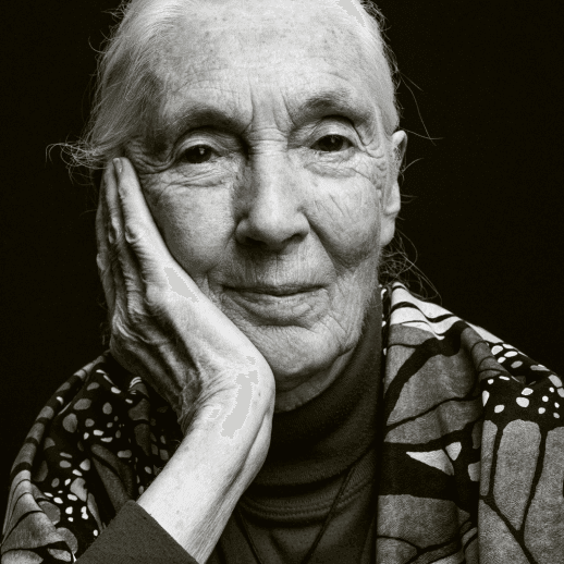 Tiến sĩ Jane Goodall, DBE, Lễ Trao Giải ClimateScience Olyipiad, hội thảo COP26 Glasgow